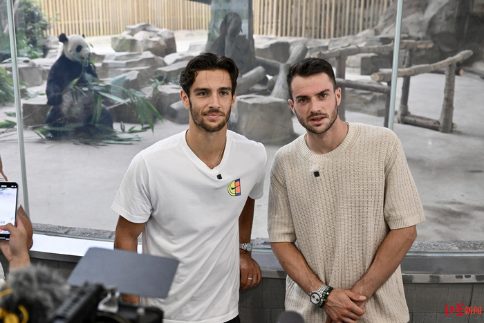 强度回归 强度回归