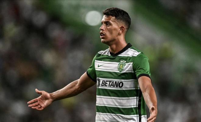 阵容建设的 阵容建设的